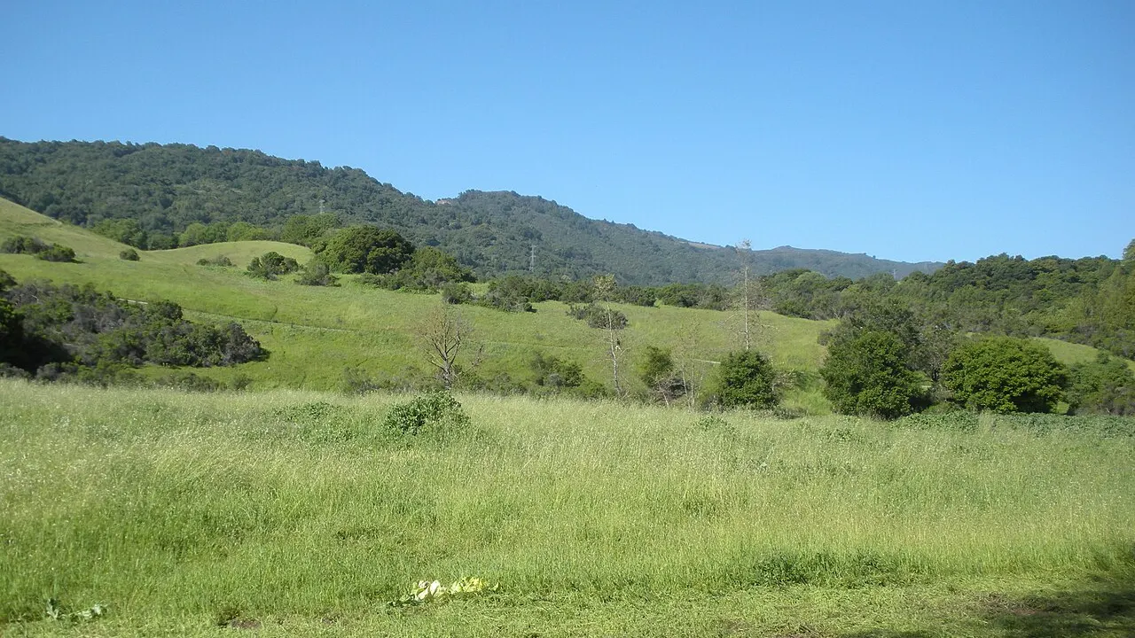 Meadow in Rancho San Antonio County Park