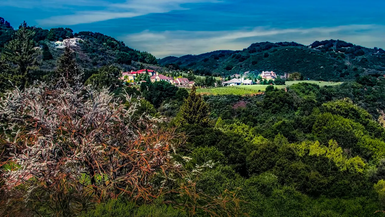 This is in the hills of Cupertino. One of these houses has a small winery in the yard. There is also a winery up there, it has been there since the 1800's.