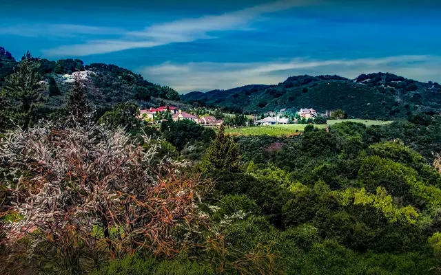 This is in the hills of Cupertino. One of these houses has a small winery in the yard. There is also a winery up there, it has been there since the 1800's.