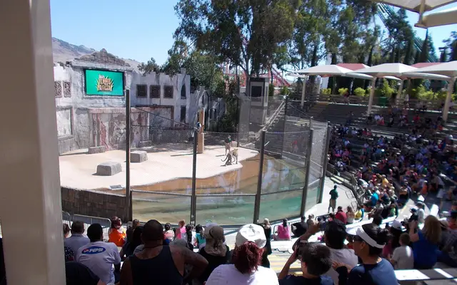 People watching a show at Six Flags in Vallejo, California