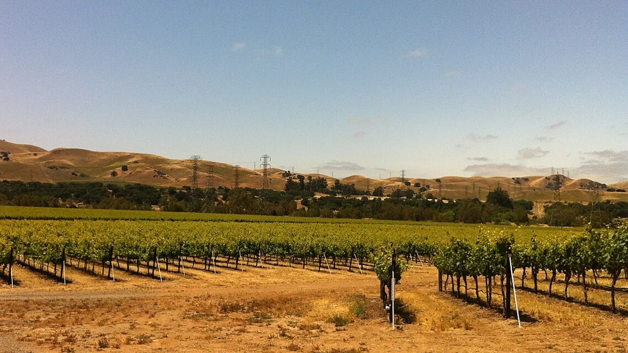 Vineyards in the North Coast California wine region of the Livermore Valley east of San Francisco Bay