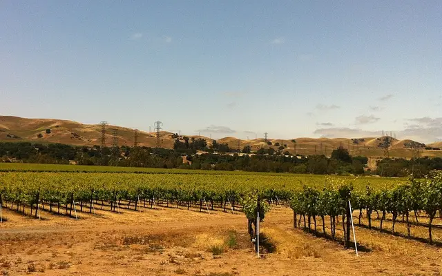 Vineyards in the North Coast California wine region of the Livermore Valley east of San Francisco Bay
