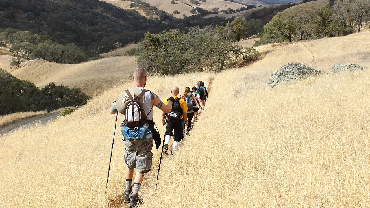 Hikers on Mount Diablo State Park. (Hiker in rear is Cary Bass-Deschenes)