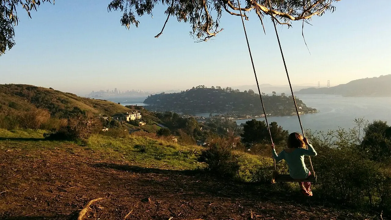 Swing at the Hippie Tree in Tiburon (California, USA) with views to San Francisco and the Golden Gate Bridge.