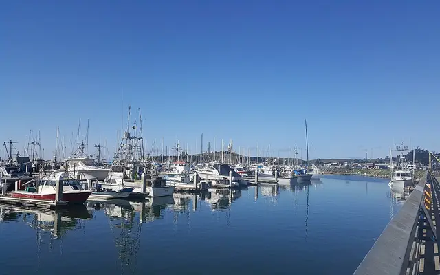 View of the harbor in February 2017