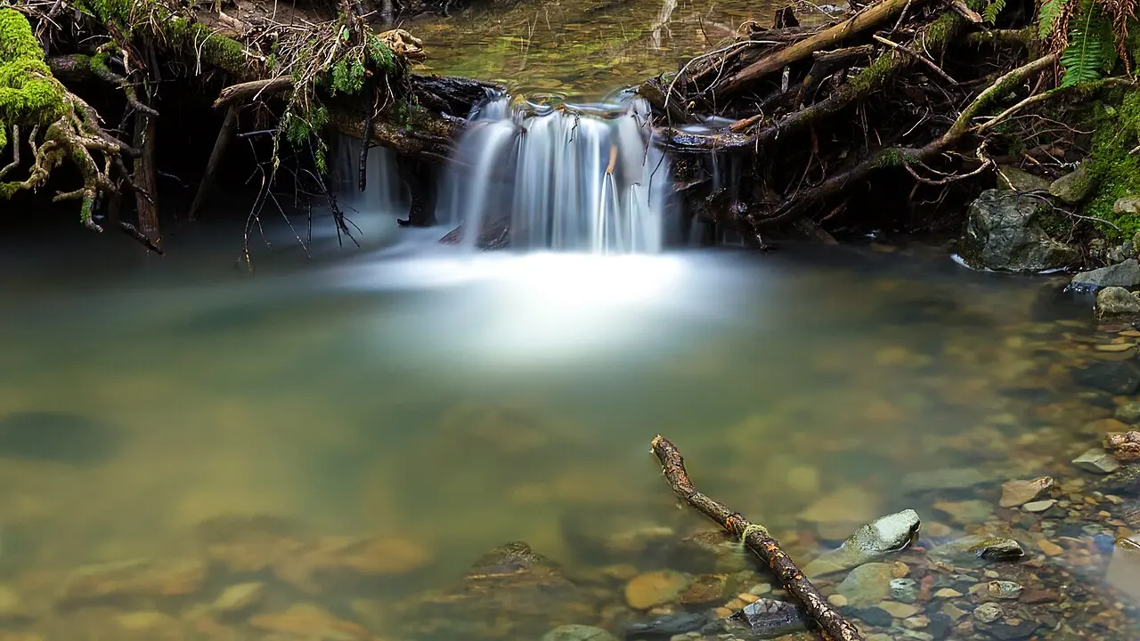 Cataract Creek, Mount Tamalpais State Park, Marin County, California