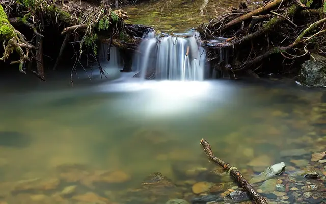 Cataract Creek, Mount Tamalpais State Park, Marin County, California