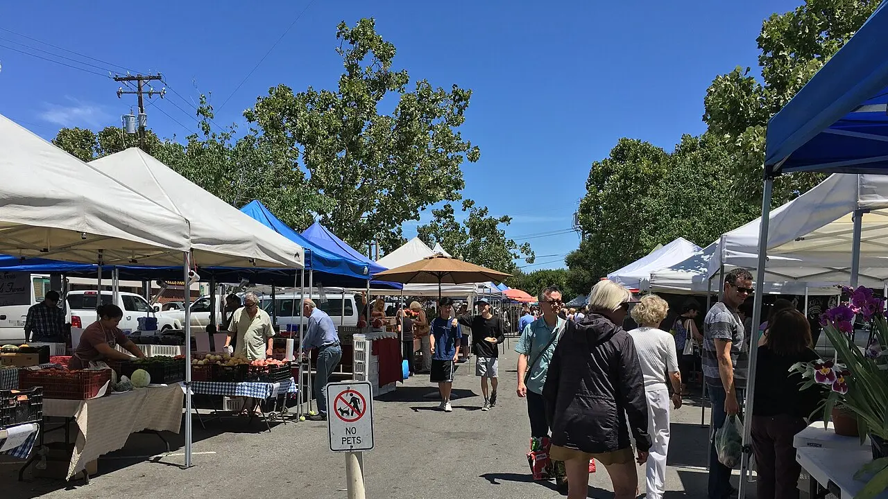 Sunday morning at the Menlo Park farmers market.