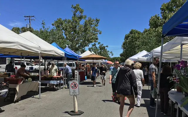 Sunday morning at the Menlo Park farmers market.