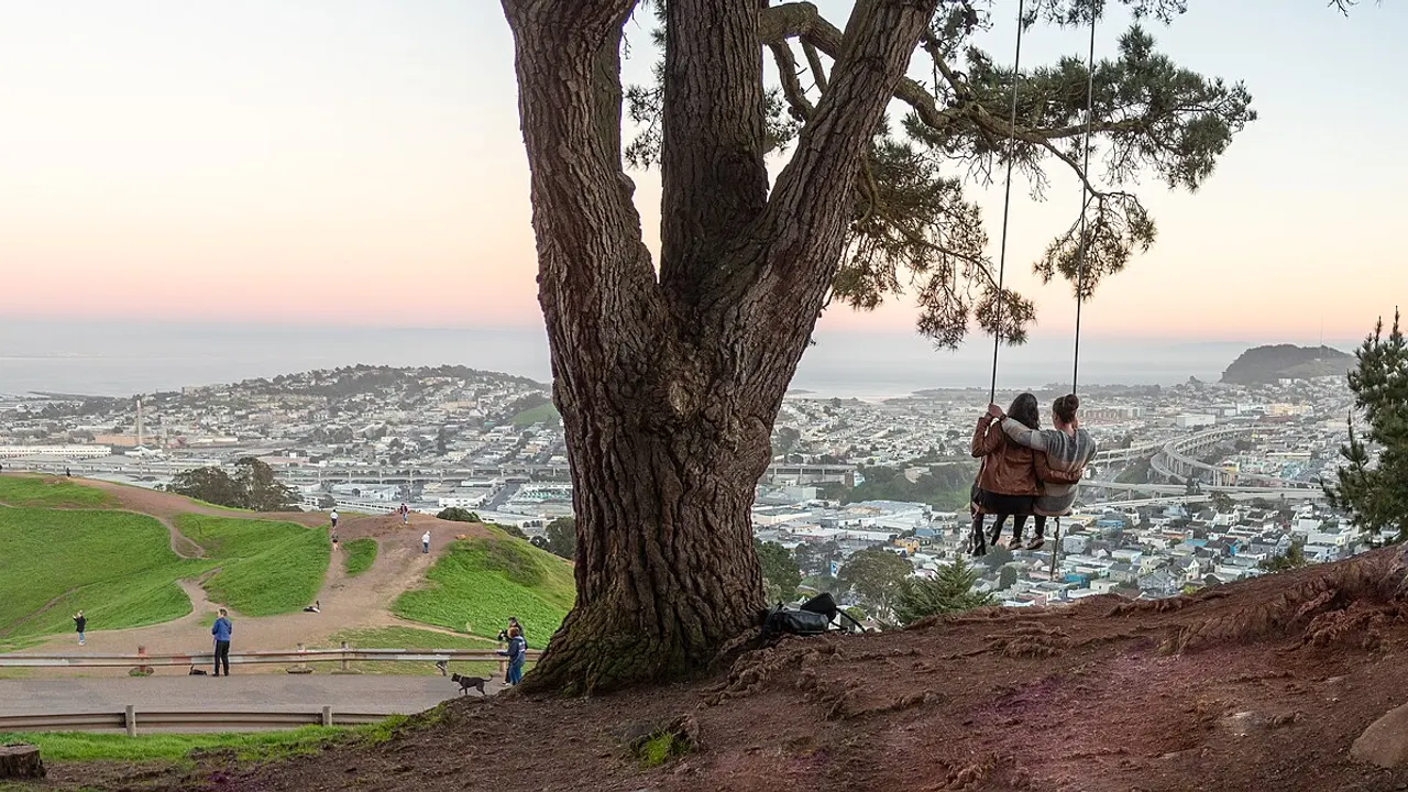 Swing in the trees in Bernal Heights Park, San Francisco, California