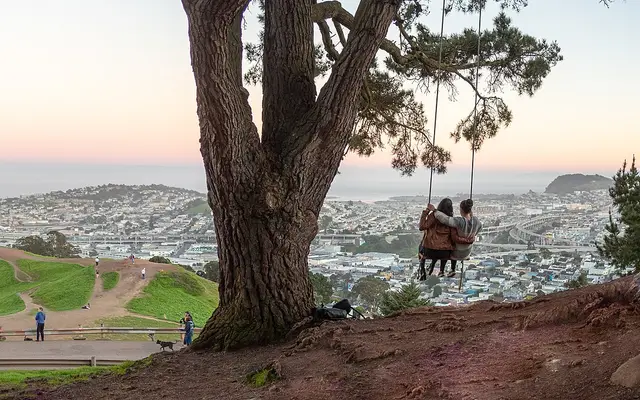Swing in the trees in Bernal Heights Park, San Francisco, California