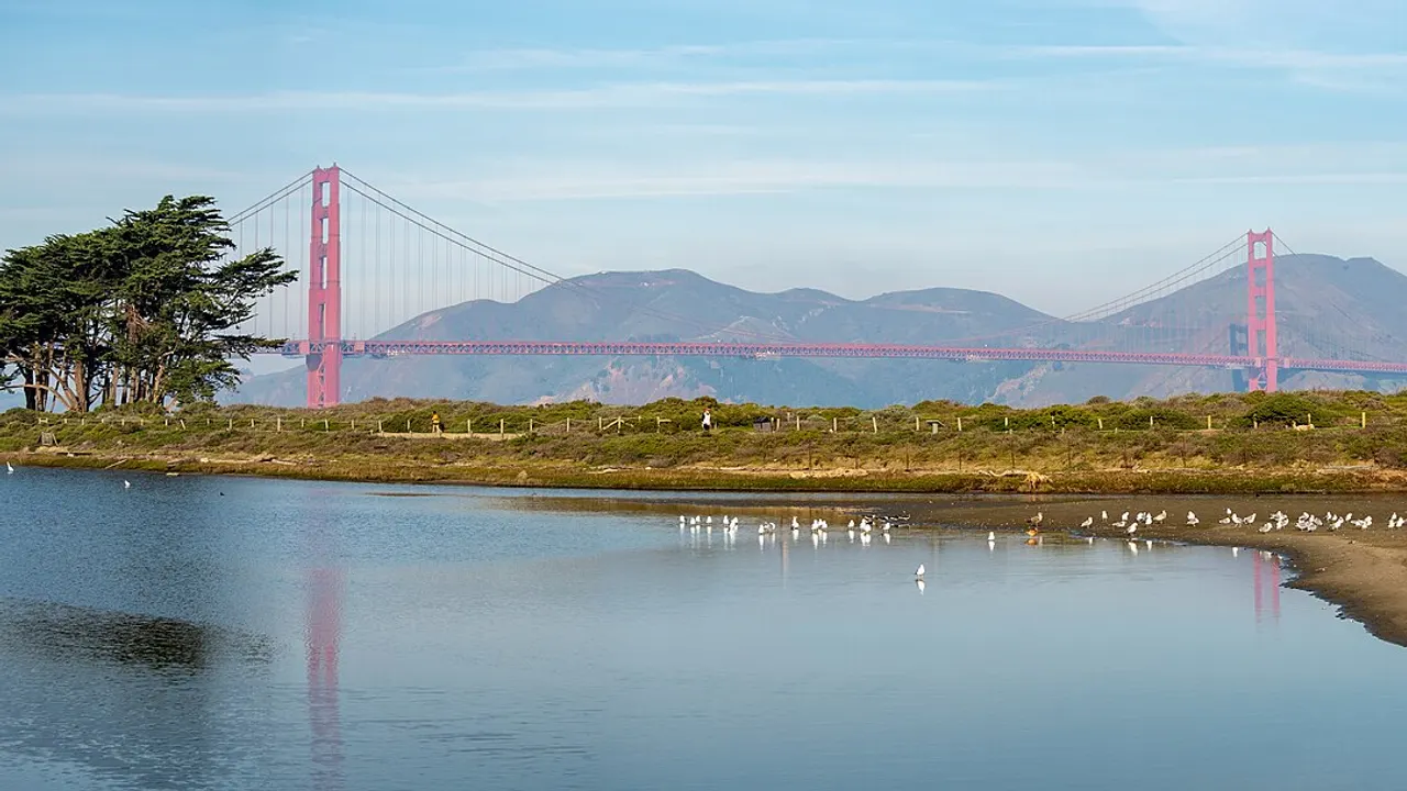 Crissy Field Marsh in San Francisco