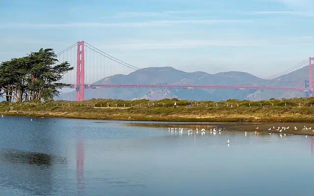 Crissy Field Marsh in San Francisco